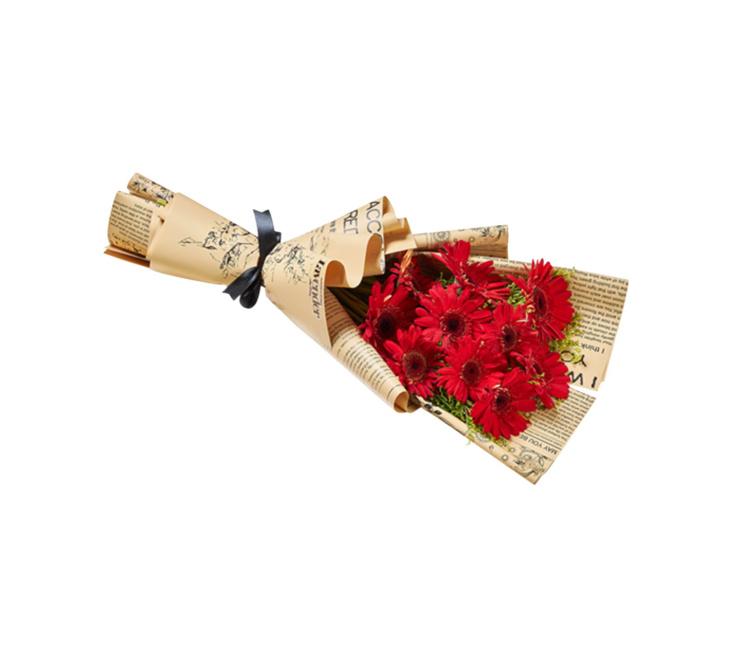 زهرة الأقحوان البرية الحمراء