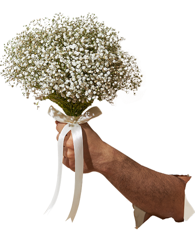 Here comes the bride ( bridal )